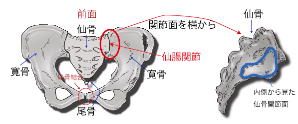 イラスト