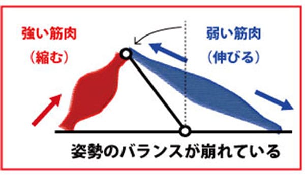 姿勢のバランスが崩れている