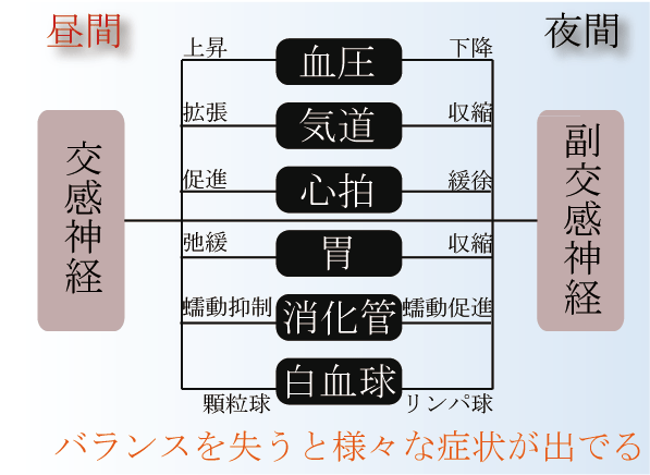 交感神経と副交感神経のバランスを失うと様々な症状が出ます